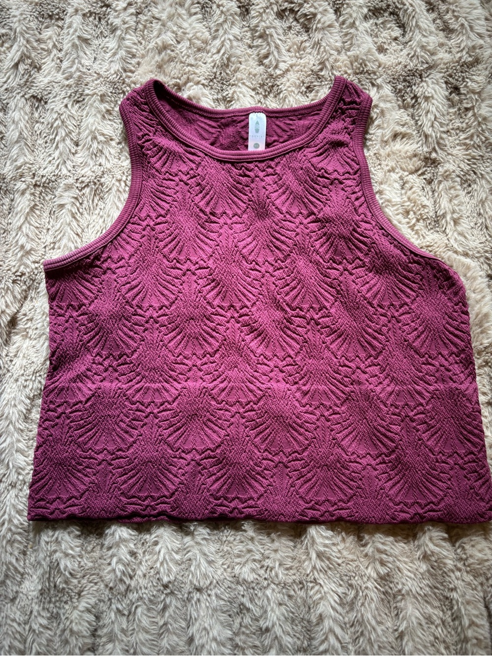 Sleeveless Textured Crop Tank Top - Berry